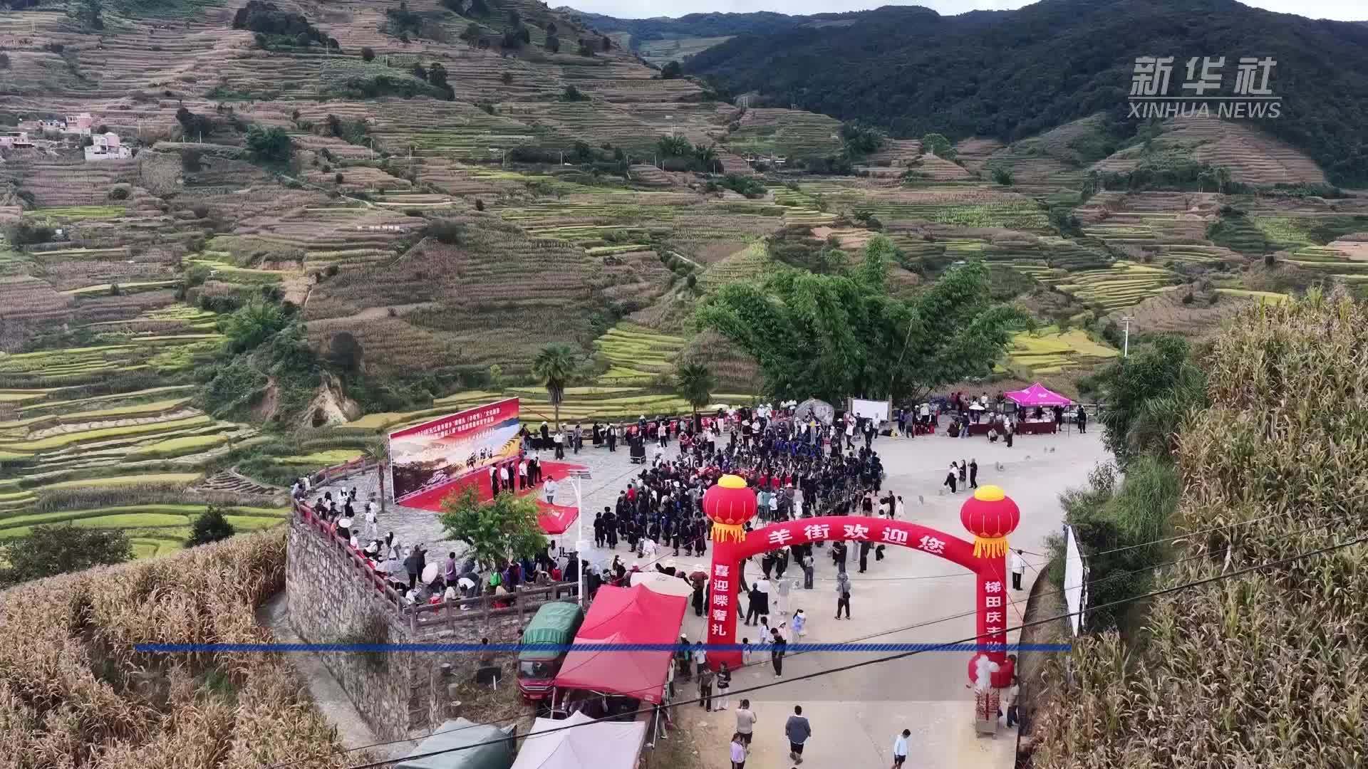 云南元江：梯田农事体验带火乡村游