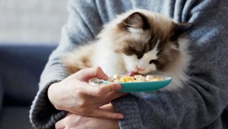 放假13天猛赚22000元，有人一天能接20多单，专家：老手吃香