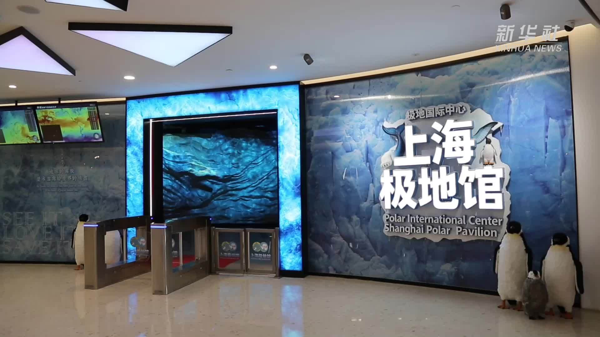 上海极地馆开放 足不出“沪”探秘极地