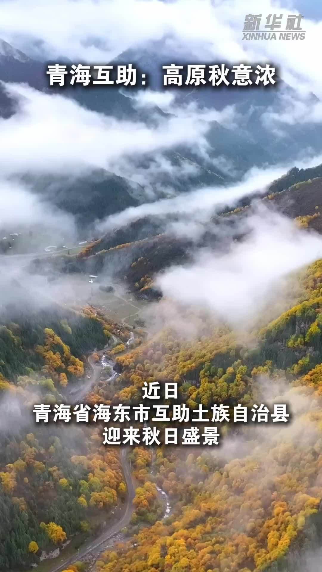 青海互助：高原秋意浓