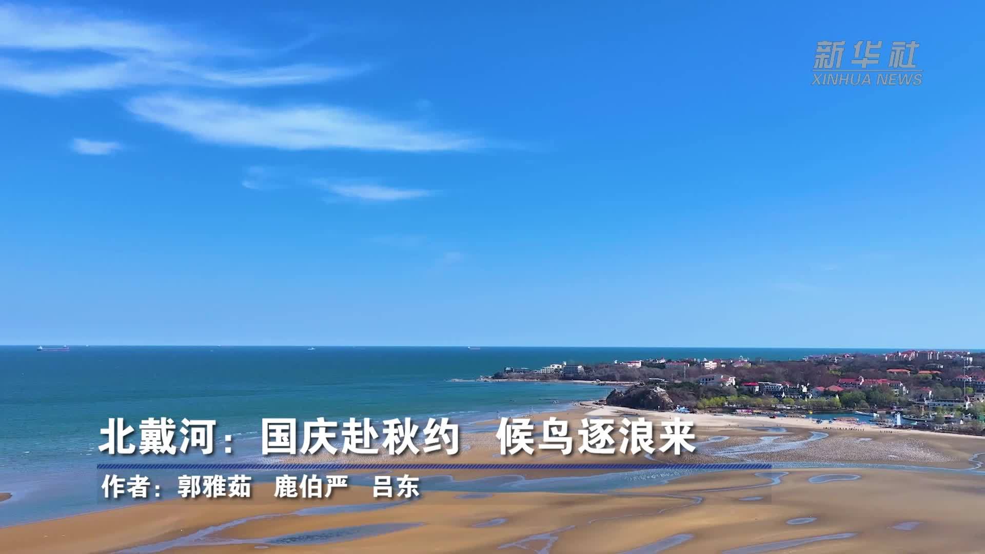 北戴河：国庆赴秋约 候鸟逐浪来