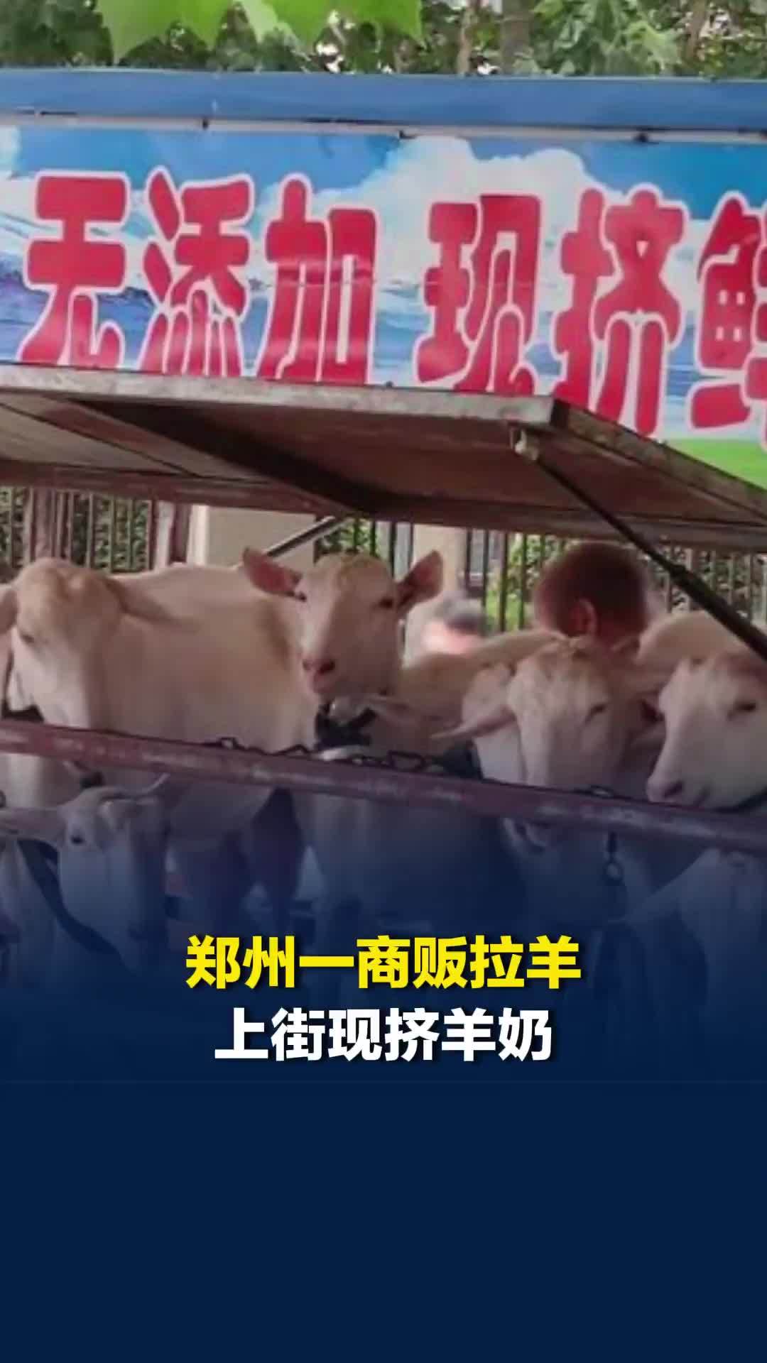这会不会有点太新鲜了？郑州一商贩拉羊上街现挤羊奶，专家：可能引发布鲁氏菌病
