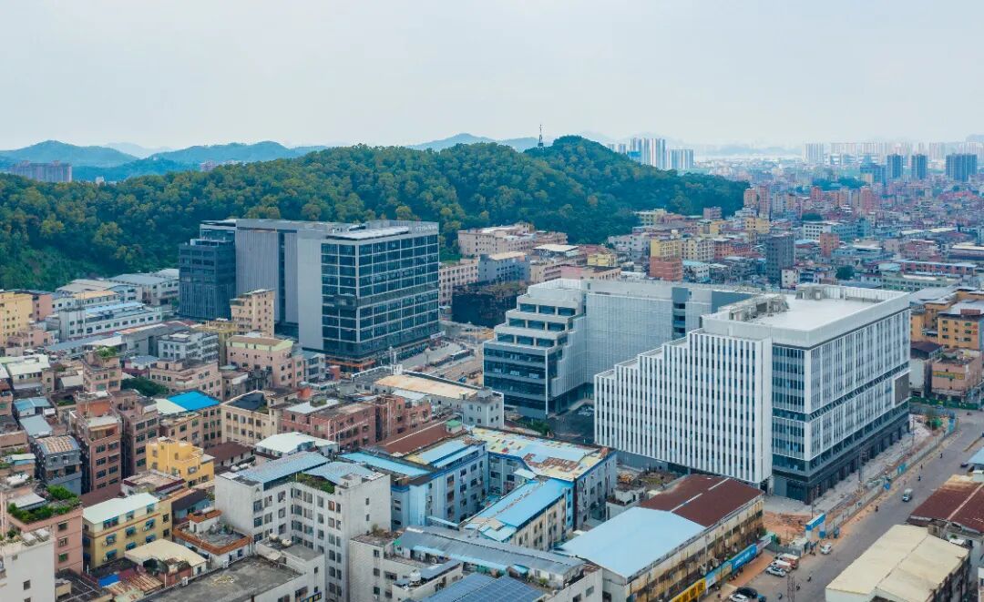 DJI_0407.jpg