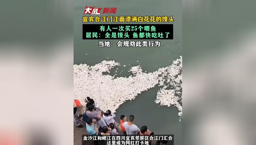 宜宾合江门江面漂满白花花的馒头 有人一次买25个喂鱼 居民：全是馒头 鱼都快吃吐了 当地：会规劝此类行为