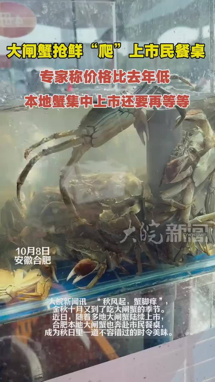 #媒体原创 大闸蟹抢鲜“爬”上合肥市民餐桌，专家称价格比去年低，本地蟹集中上市还要再等等#闸蟹抢鲜“爬”上合肥市民餐桌 大皖新闻讯 近日，随着多地大闸蟹陆续上市，合肥本地大闸蟹也