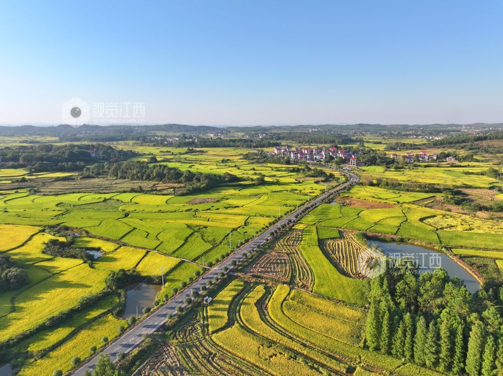2026年10月6日，江西省吉安市泰和县马市镇南溪村，四好农村路穿越金色田园，助力乡村振兴。