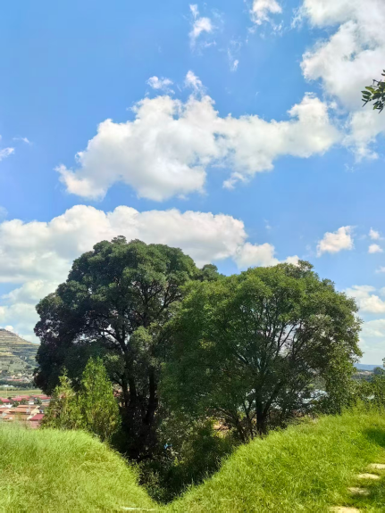 平凉市崇信县锦屏镇赵湾村依托自然资源推出的“爱心树”景观　新华网发　杨澜　摄