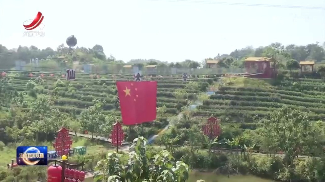 卢小青在新余调研