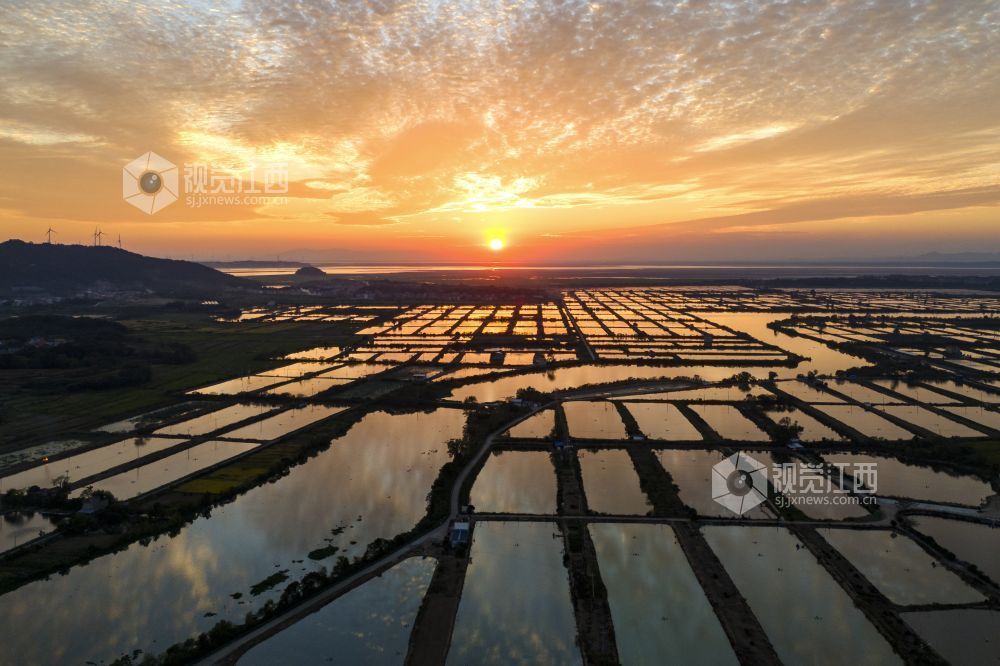 2026年10月7日,江西省九江市都昌县矶山湖水产养殖场上空晚霞绚丽,漫天霞光与池塘相映成趣,美不胜收。
