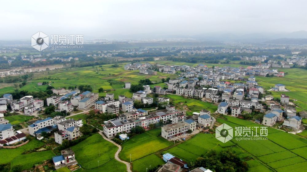2026年10月6日,秋日时节,江西省遂川县雩田镇沃野铺翠,连片稻田环绕错落民居。白墙小楼镶嵌在万顷良田之间,远山含黛,田畴如画。