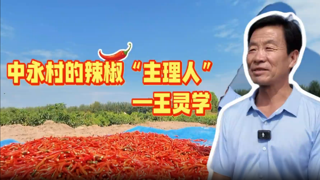 走出红火致富路　甘肃灵台这位辣椒“主理人”谈经验