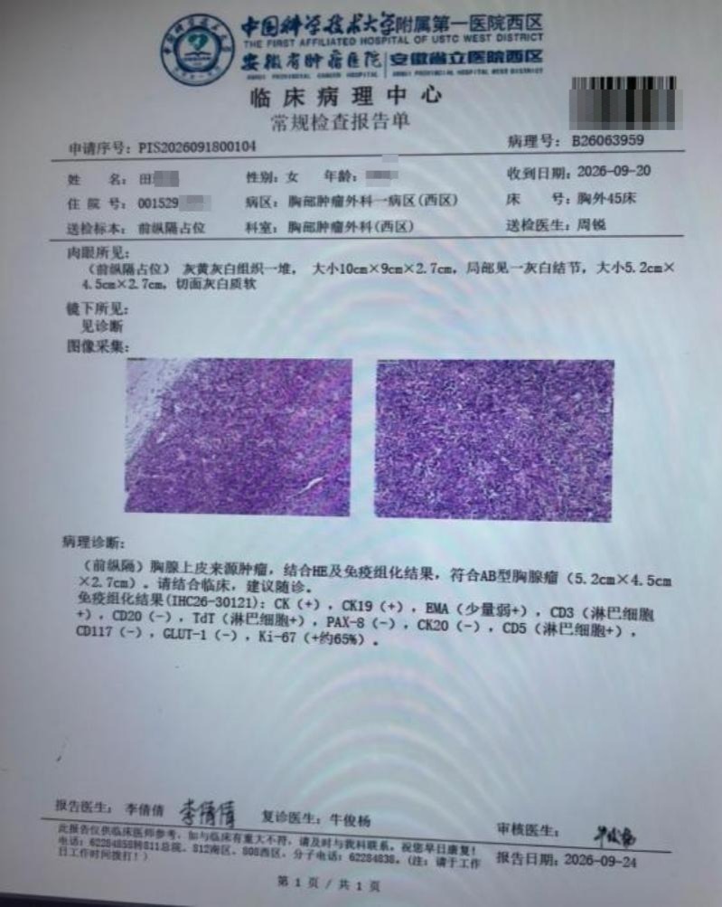 WPS图片3
