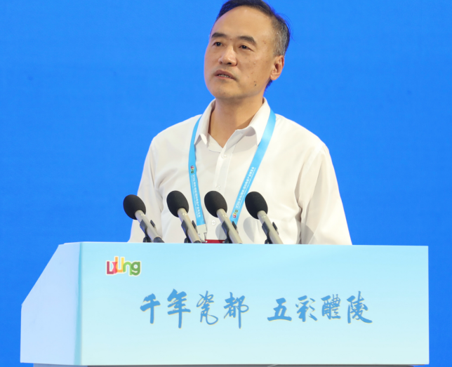 从釉下五彩到特高压绝缘子：千年瓷都醴陵的双向突围