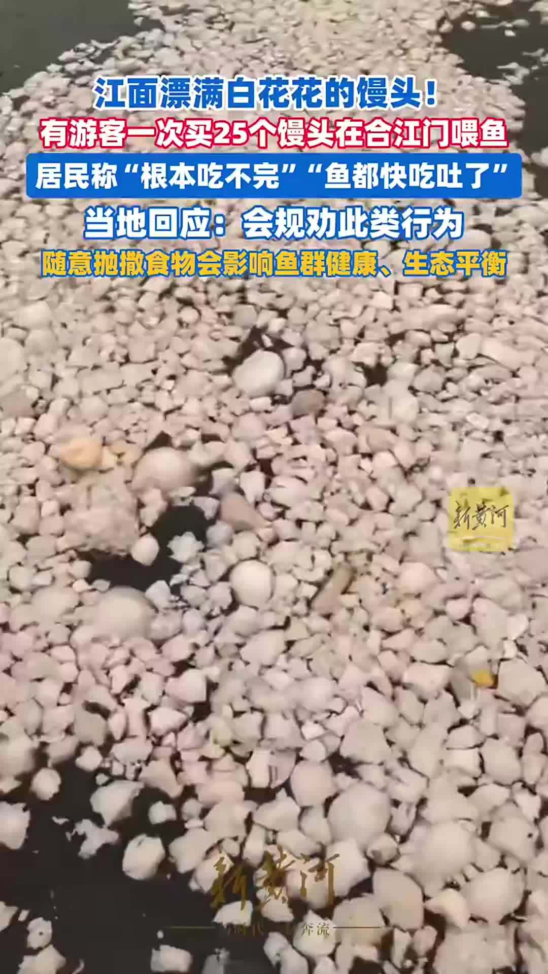 江面漂满白花花的馒头，有游客一次买25个馒头在合江门喂鱼，当地回应：会规劝此类行为