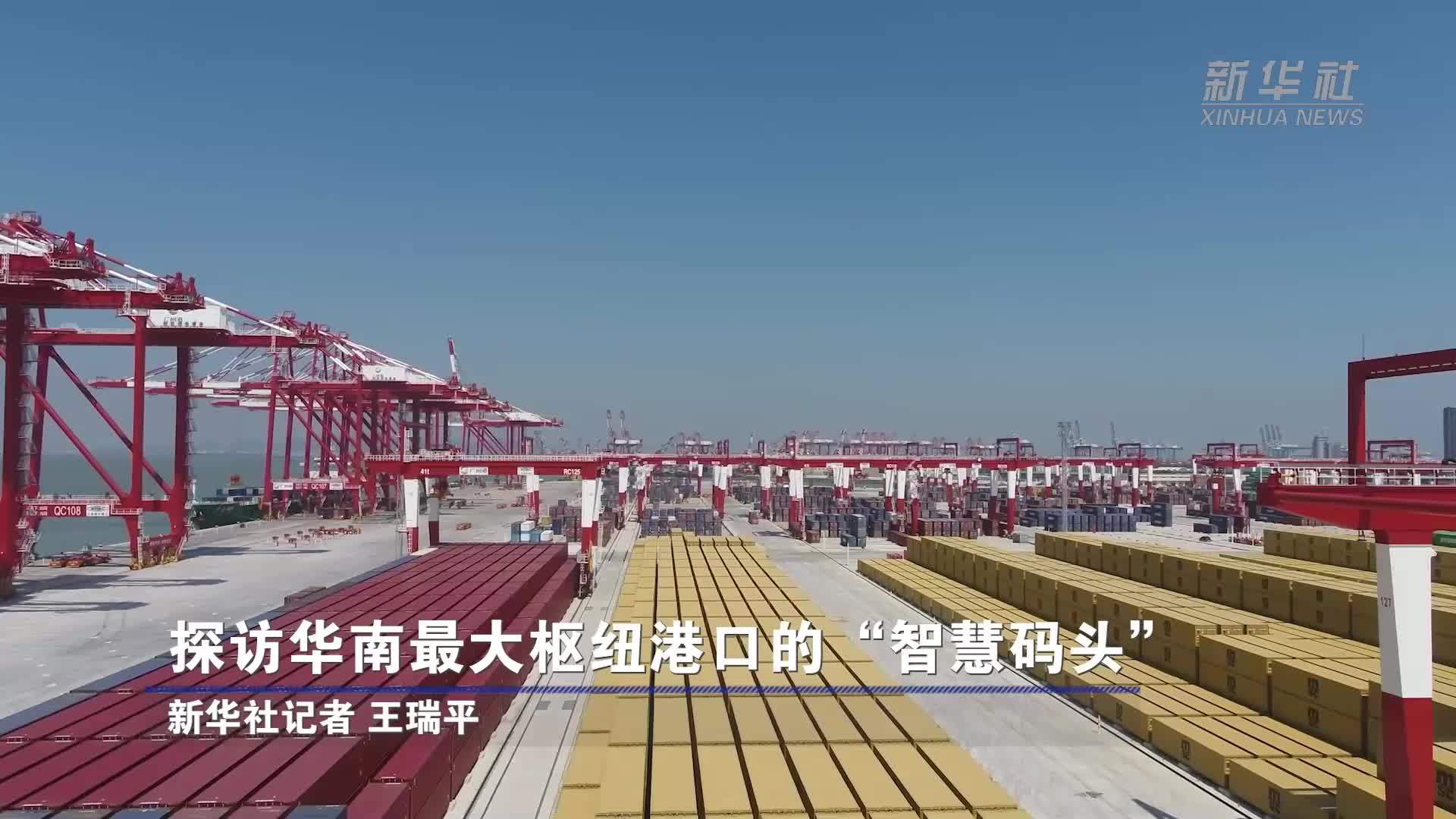 探访华南最大枢纽港口的“智慧码头”