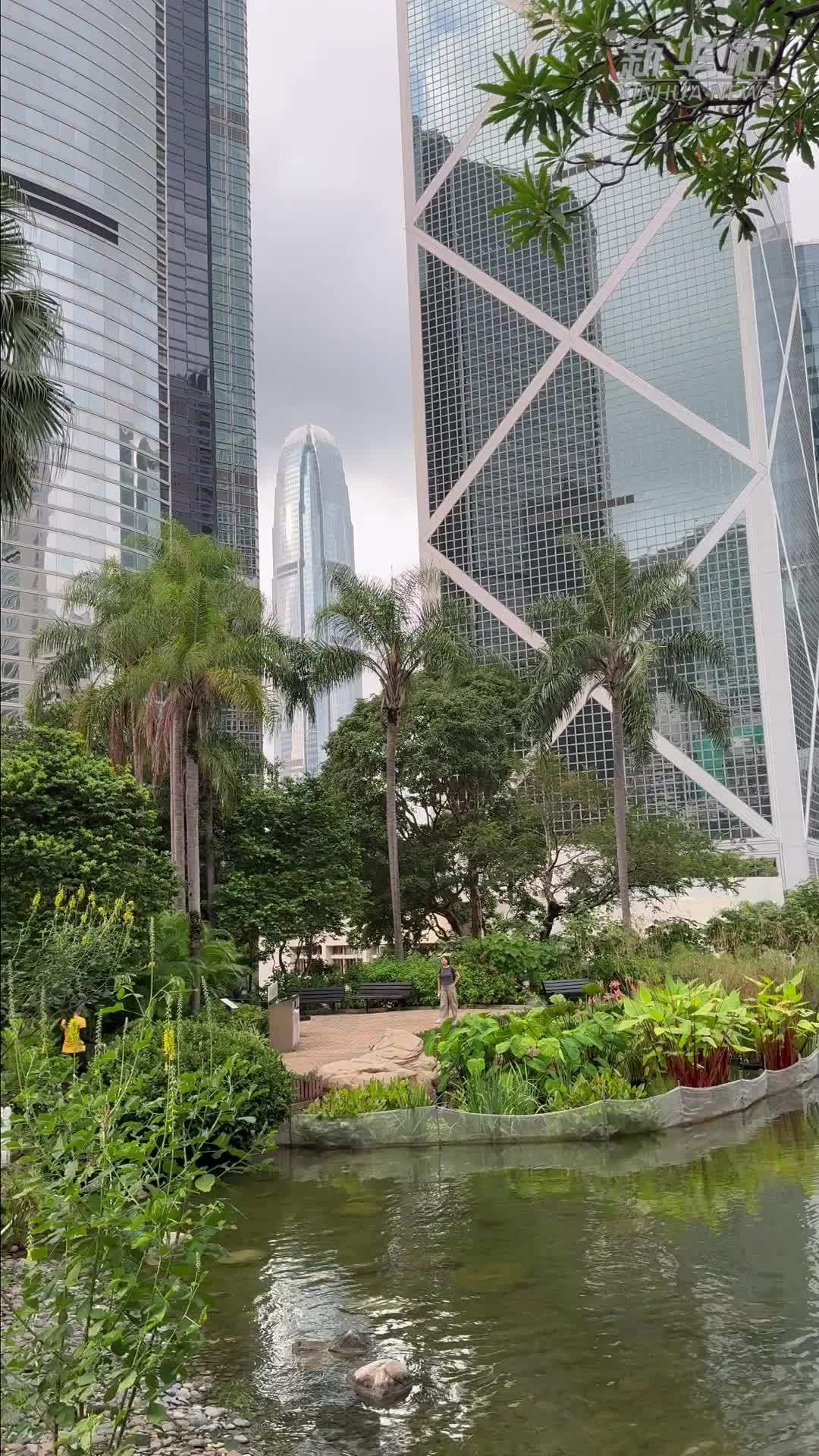 “港”你知：国庆假期解锁香港“新玩法”