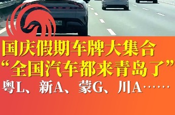国庆假期车牌大集合“全国汽车都来青岛了”