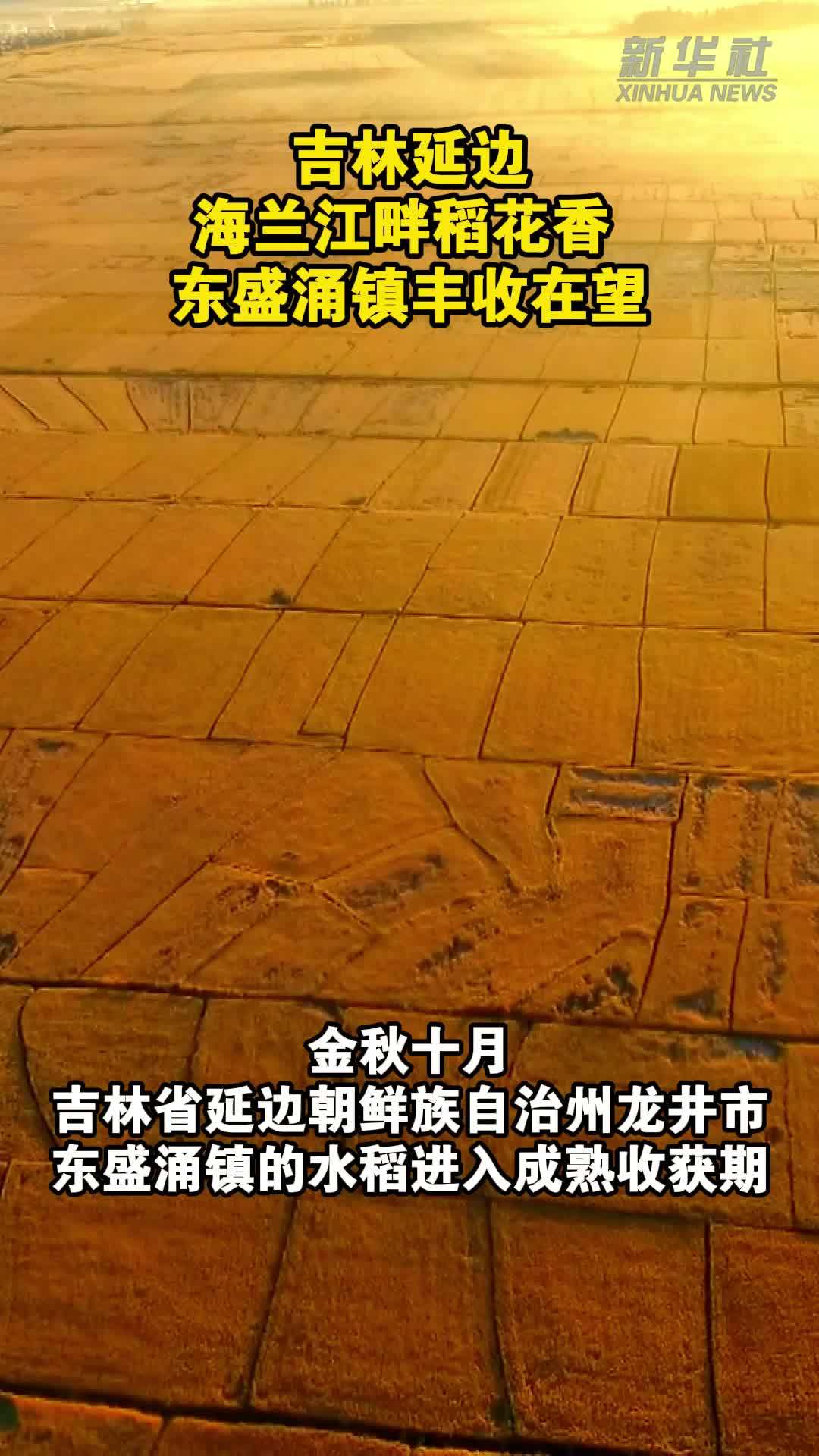 吉林延边：海兰江畔稻花香 东盛涌镇丰收在望