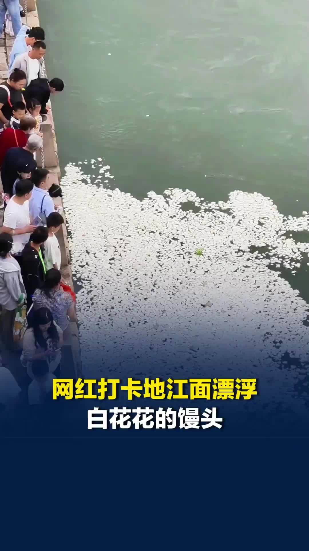 “根本吃不完”，网红打卡地江面漂浮白色馒头，有游客一次买25个馒头喂鱼