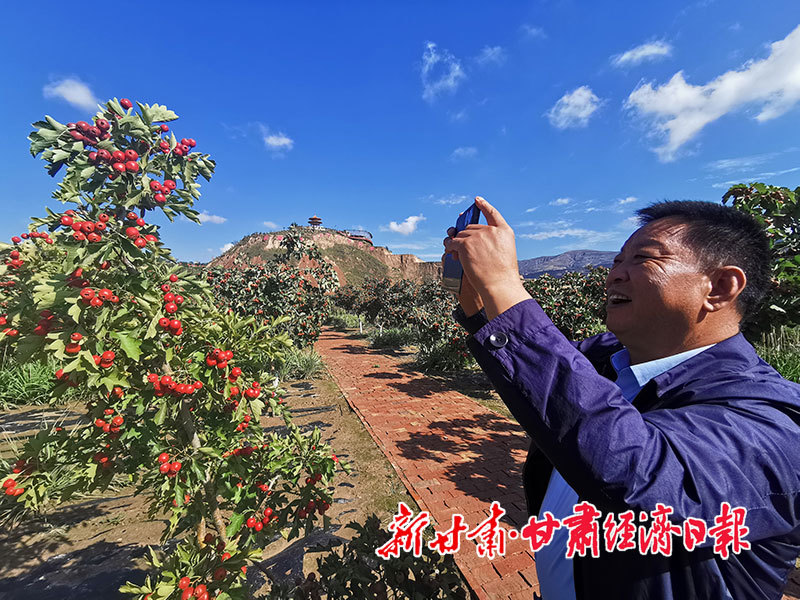 游客拍照留念