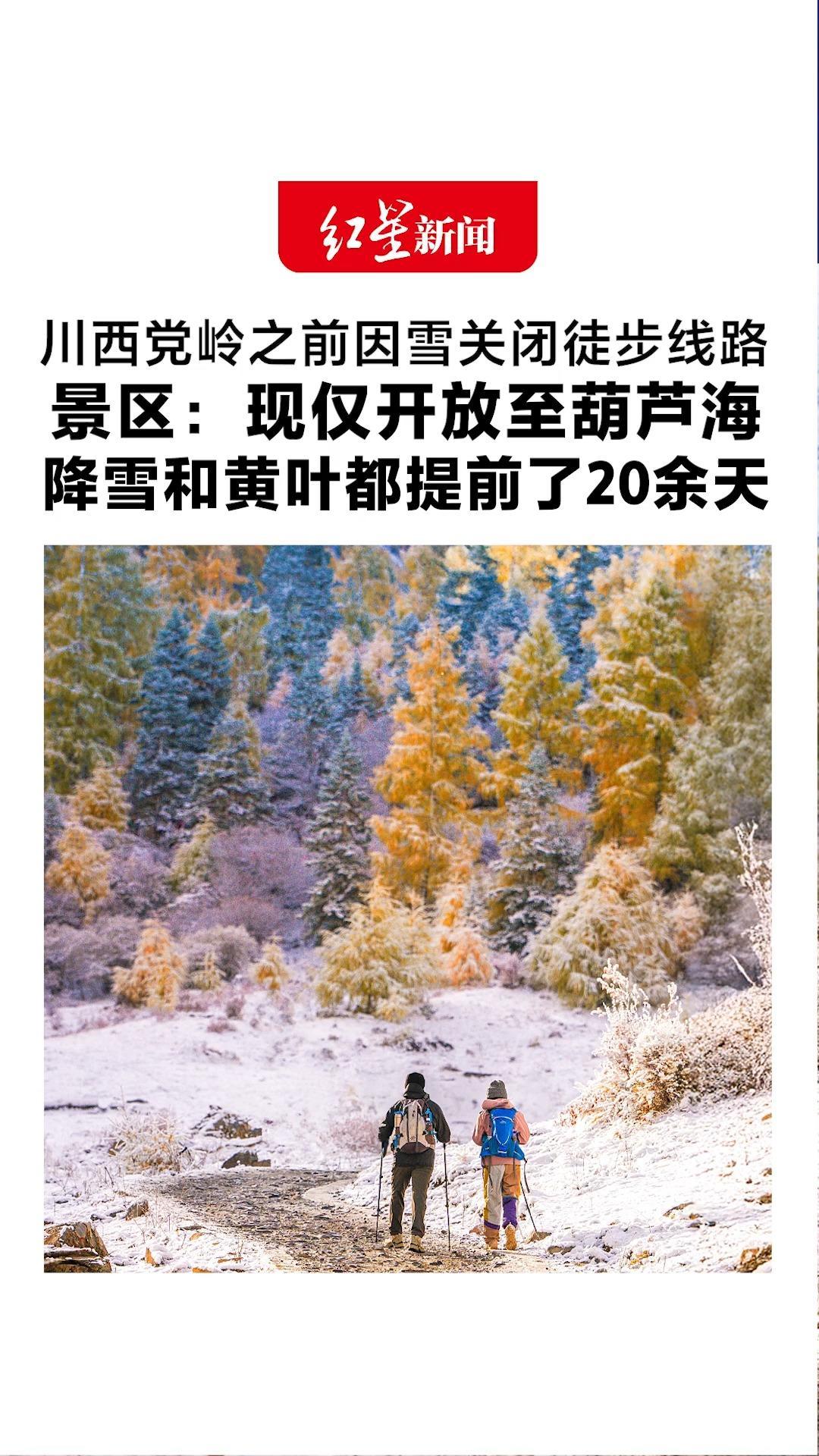 川西党岭之前因雪关闭徒步线路 景区：现仅开放至葫芦海 降雪和黄叶都提前了20余天 未来半月都是秋景“天花板”