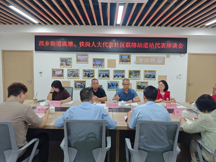 履职察民情 暖心护弱势——西乡街道人大代表进站座谈 聚焦流塘社区残疾人及特殊儿童帮扶