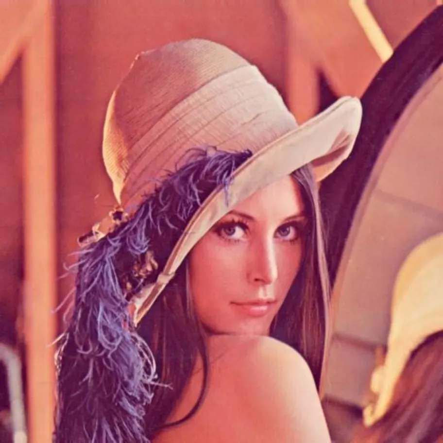 Lena Soderberg 堪称赛博第一夫人|图片来源:SIPI IMAGE DATABASE