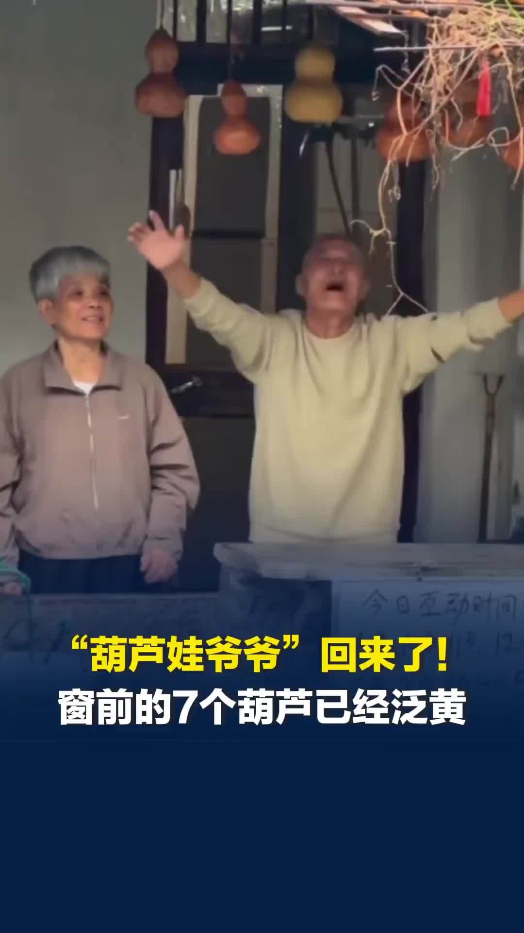 我们的“葫芦娃爷爷”回来了！窗前的7个葫芦已经泛黄褪去青色，门口挂互动时间表
