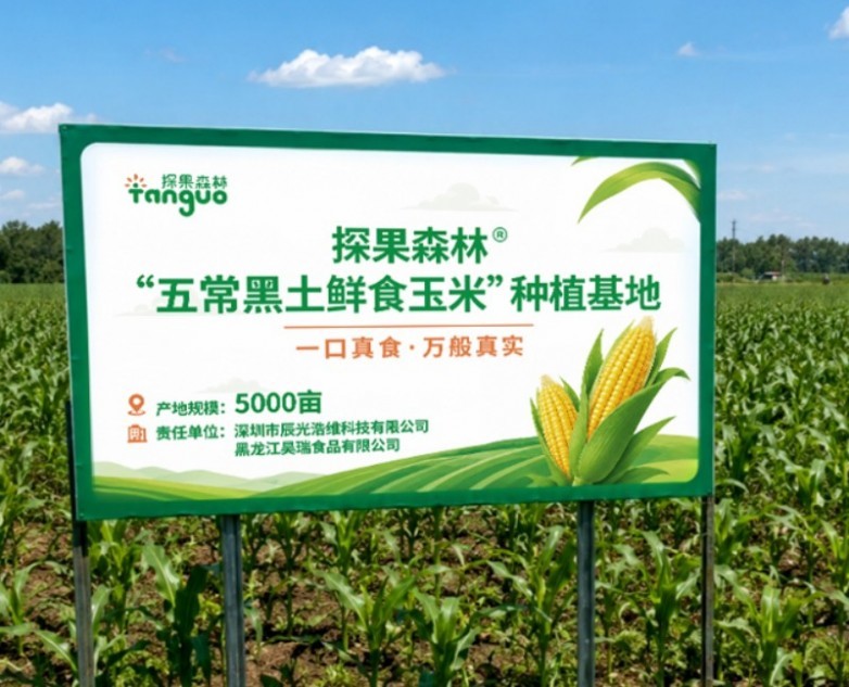 图片 10.jpg
