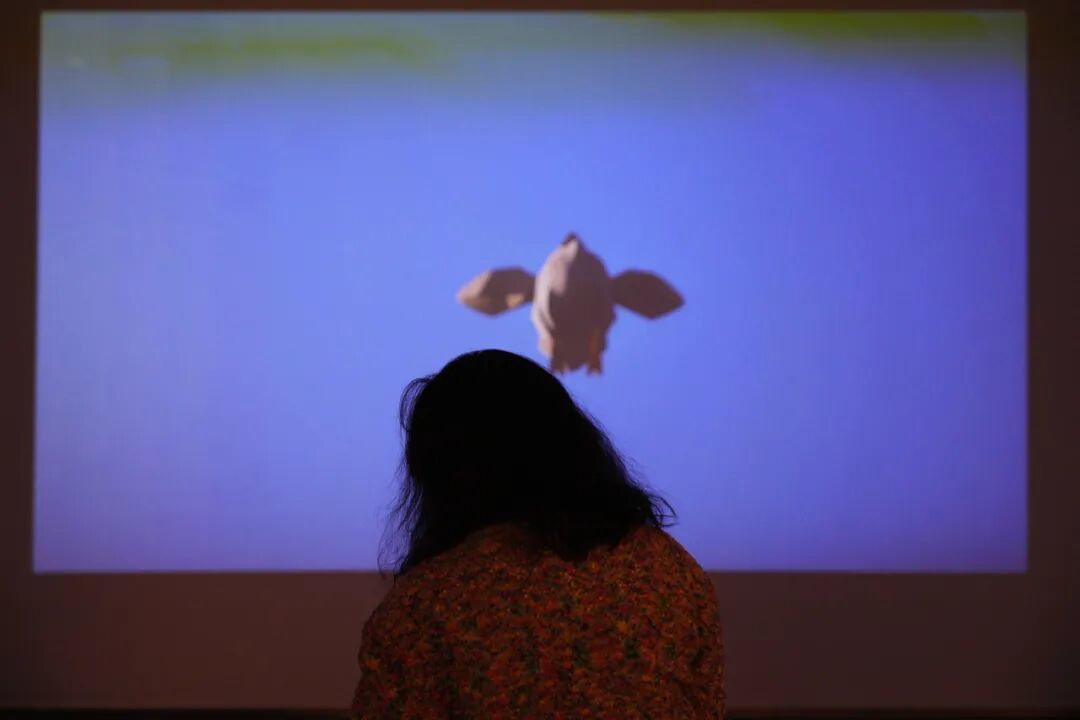 【第五届湖南美术馆“青扶计划”】总有些问题刺破时间