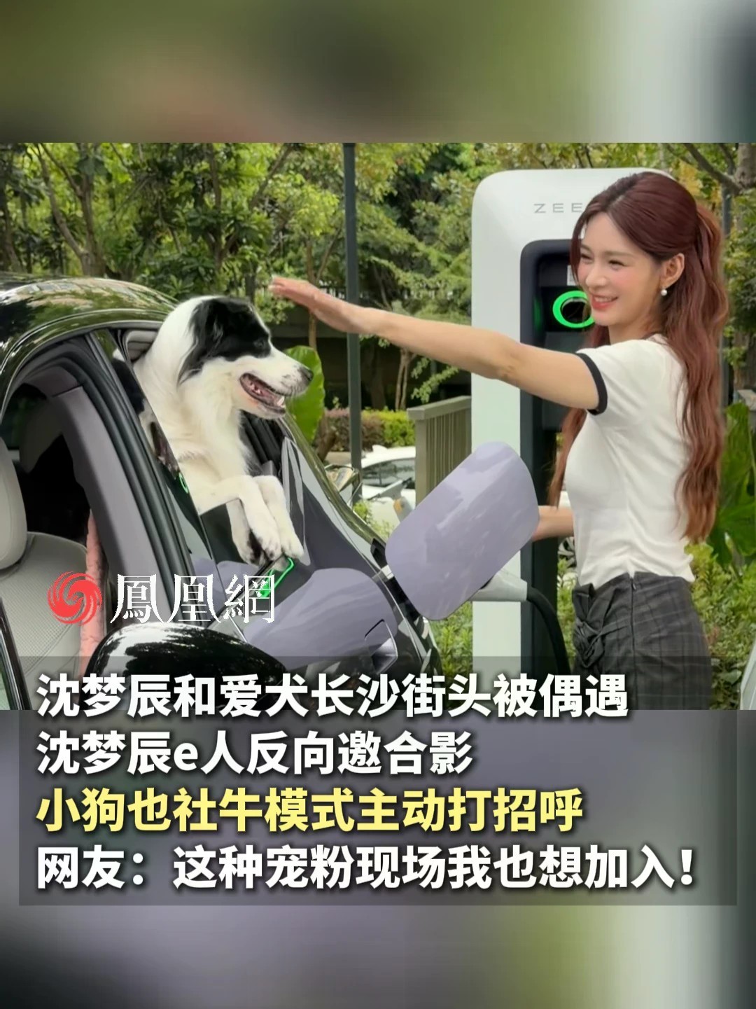 #沈梦辰长沙街头太宠粉了 沈梦辰和爱犬长沙街头被偶遇，沈梦辰e人反向邀合影，小狗也社牛模式主动打招呼，网友：这种宠粉现场我也想加入！#长沙 #沈梦辰