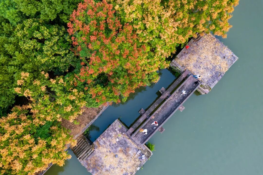 DJI_0489.jpg