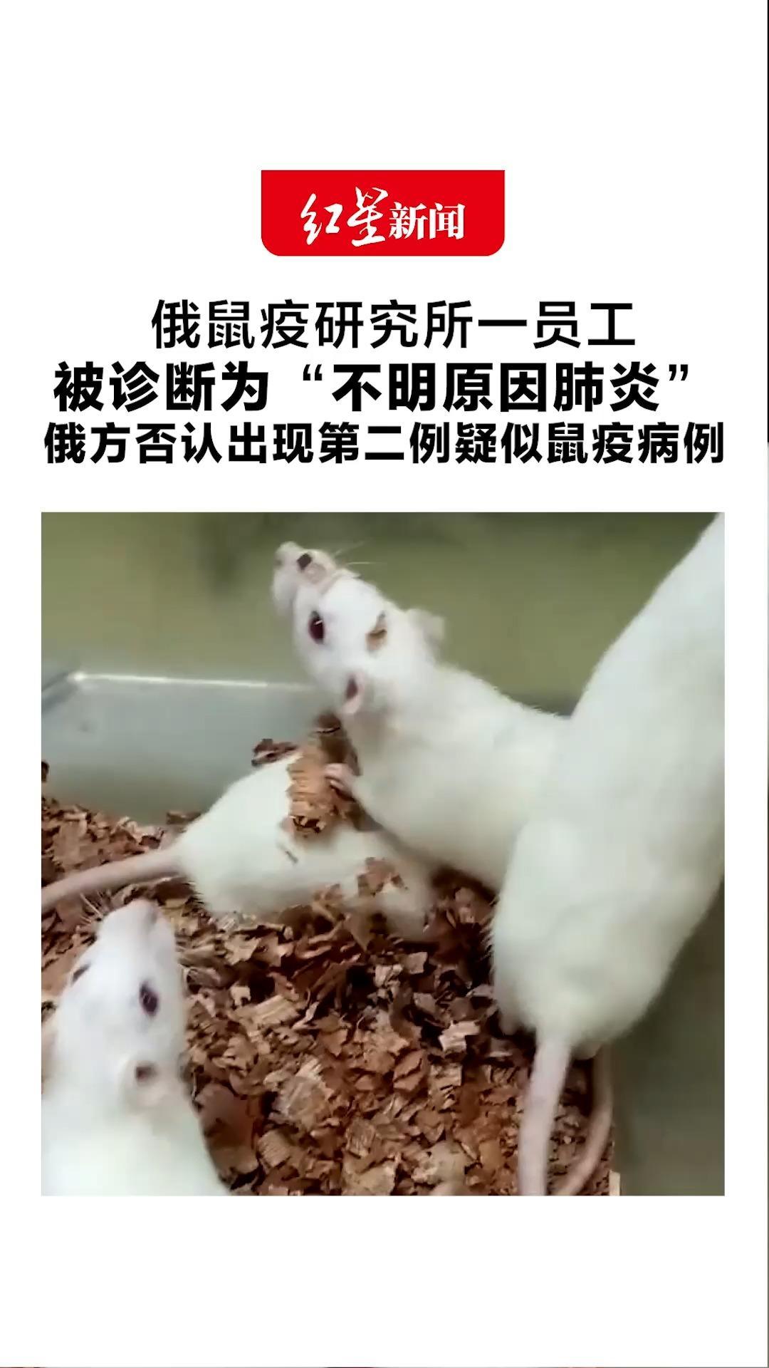 俄鼠疫研究所一员工被诊断为“不明原因肺炎”俄方否认出现第二例疑似鼠疫病例“五千次检测未发现危险病原”
