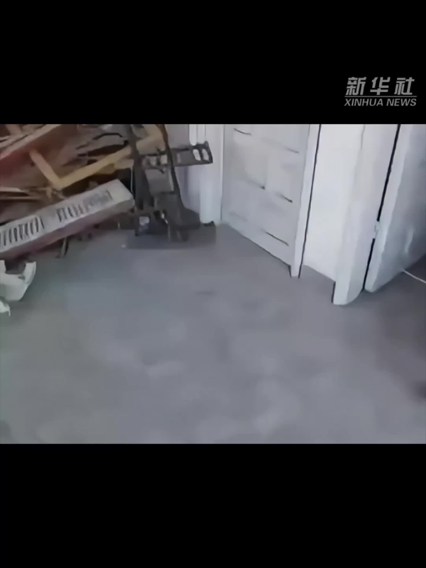 巴以冲突三周年：加沙战火未停，琴声未止