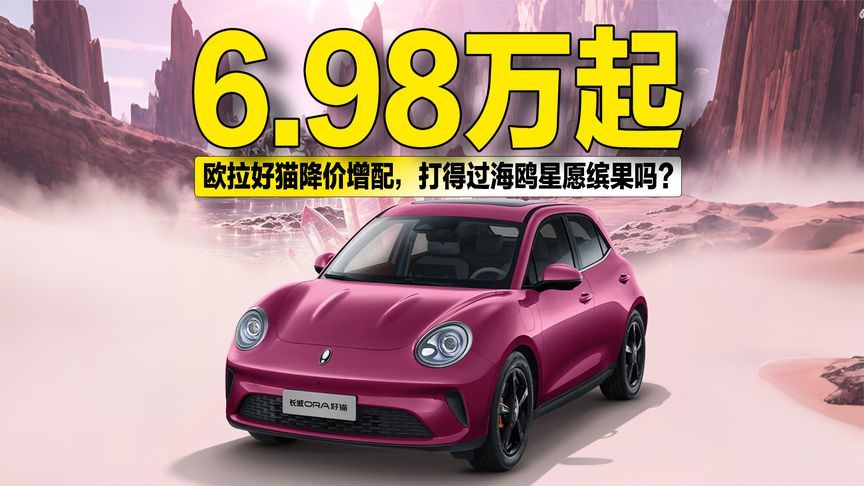 6.98万起！欧拉好猫降价增配，打得过海鸥星愿缤果吗？