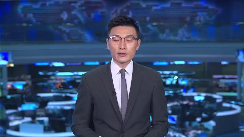 日本前外相岩屋毅谈中日关系 称日政府应更主动改善