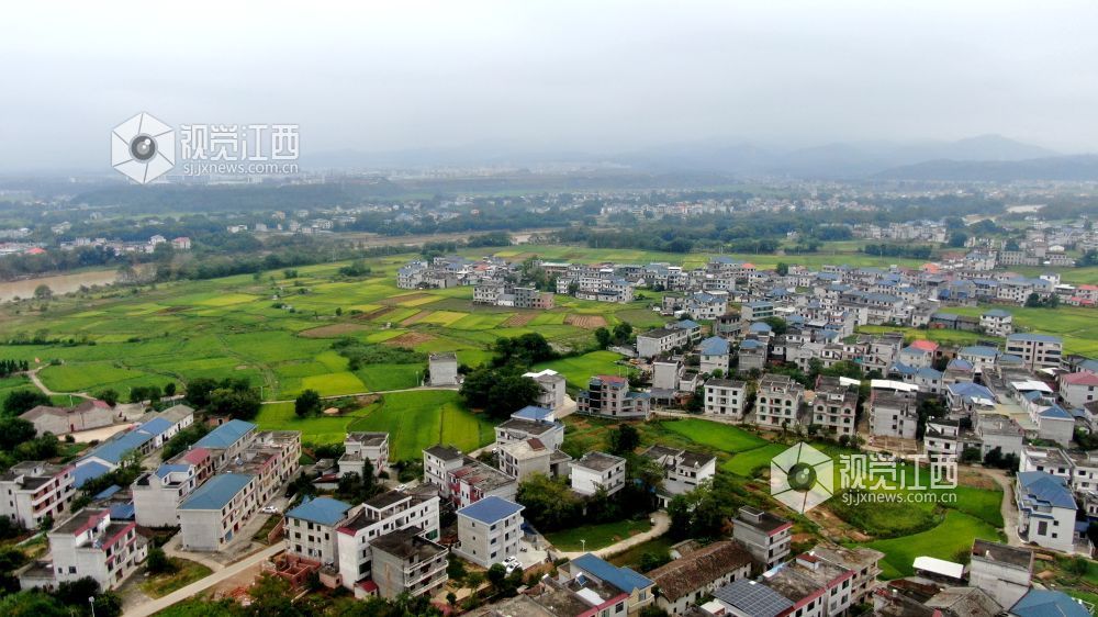 2026年10月6日,秋日时节,江西省遂川县雩田镇沃野铺翠,连片稻田环绕错落民居。白墙小楼镶嵌在万顷良田之间,远山含黛,田畴如画。