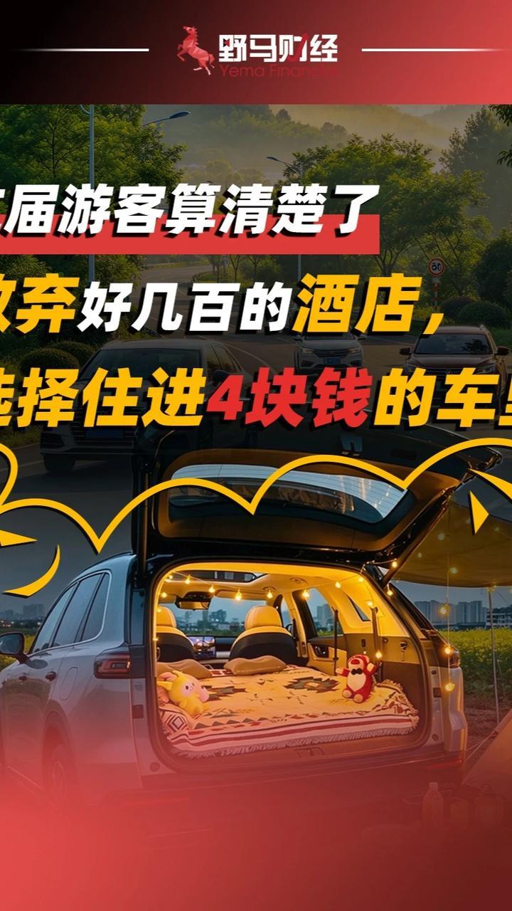 这届游客算清楚了：放弃好几百的酒店，选择住进4块钱的车里#酒店#新能源汽车#财经