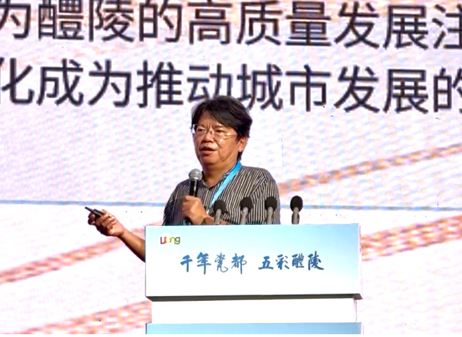从釉下五彩到特高压绝缘子：千年瓷都醴陵的双向突围