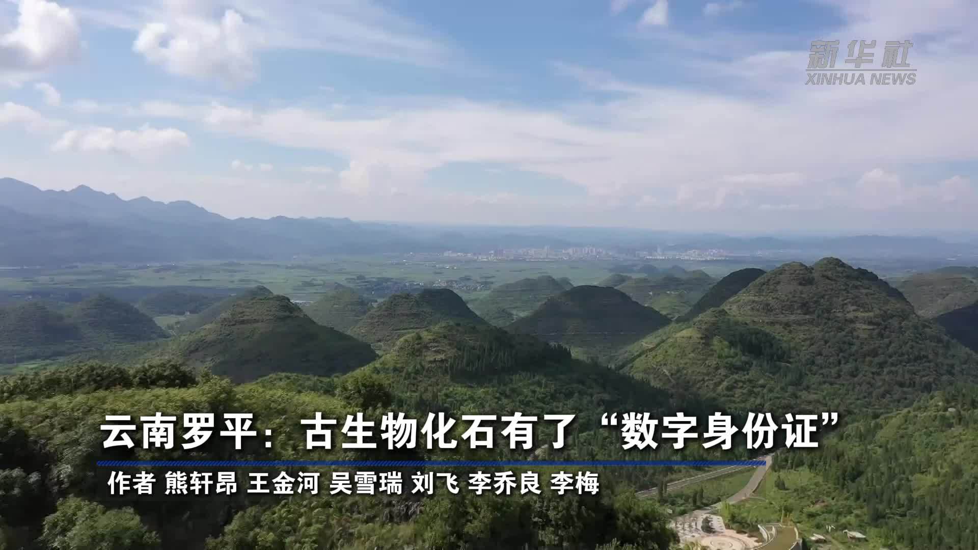 云南罗平：古生物化石有了“数字身份证”