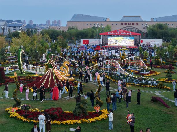 QQ20261008-094900.jpg
