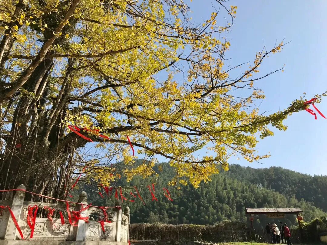 明月山 | 图:公众号“明月山旅游”