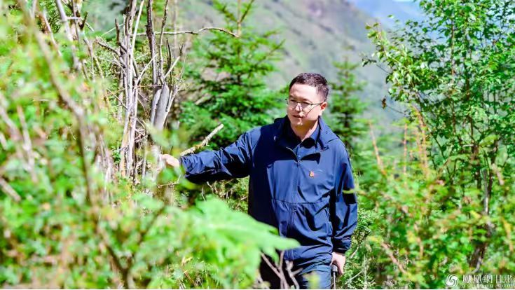 甘肃省甘南州卓尼县纳浪镇镇长、镇级总林长黄建荣巡林　李德宇　摄