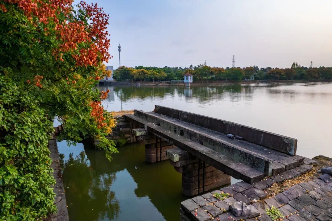 DJI_0449.jpg