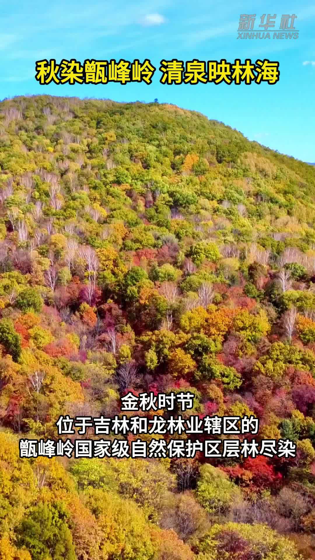 秋染甑峰岭 清泉映林海