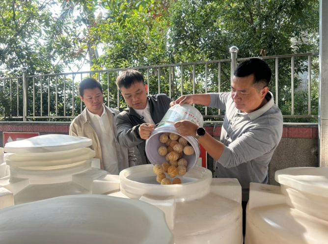 忧产业前路 谋长远新局!廖广利深耕茶枝柑产业谋发展