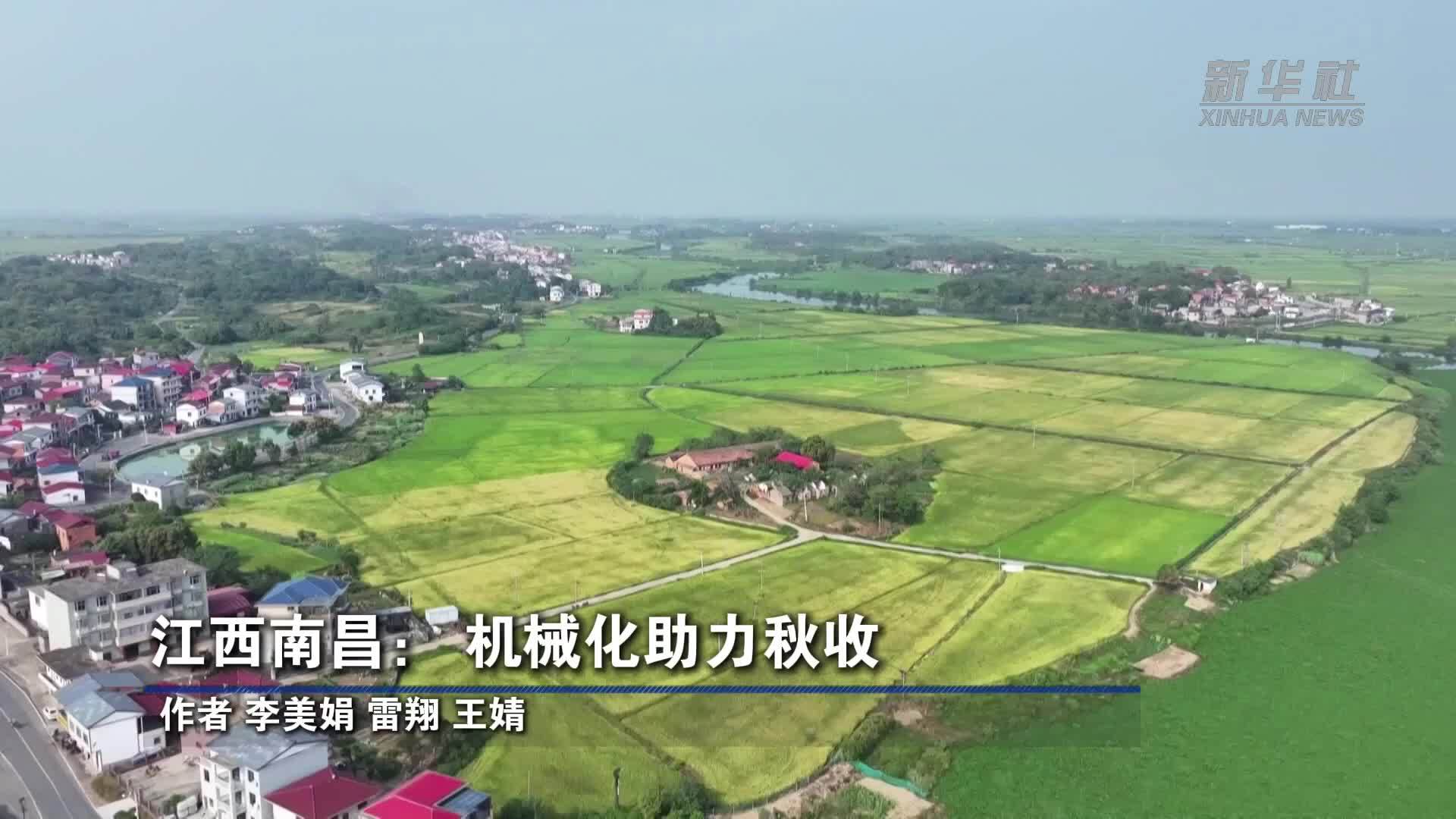 江西南昌：机械化助力秋收