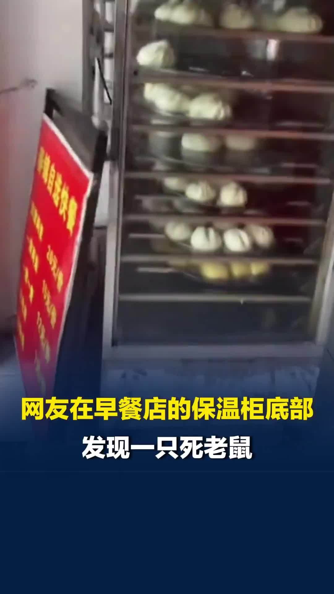 网友在早餐店的保温柜底部发现一只死老鼠，当地：有工作人员去现场调查处理了