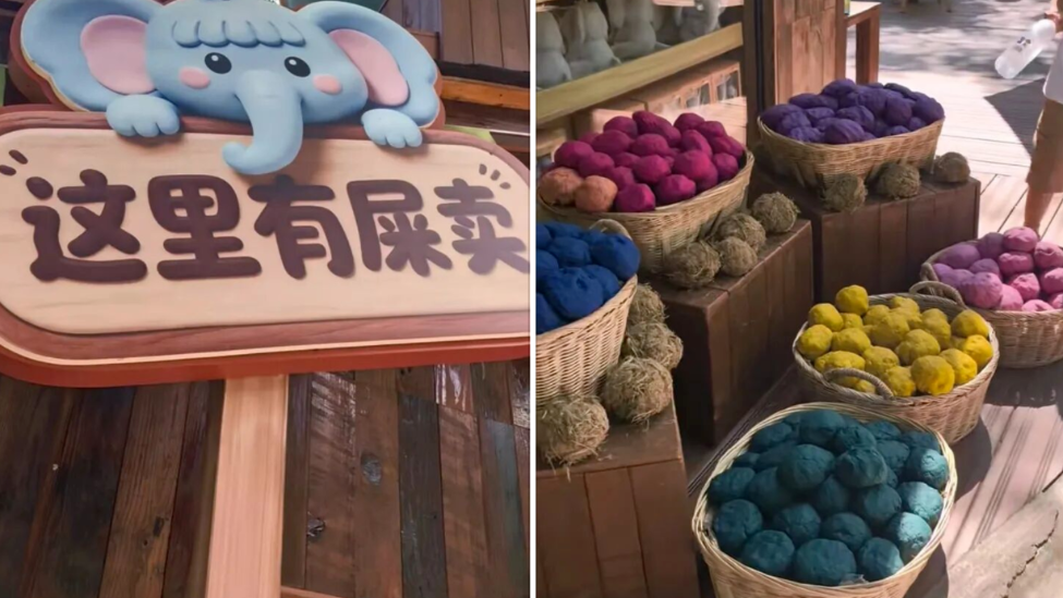新闻配图