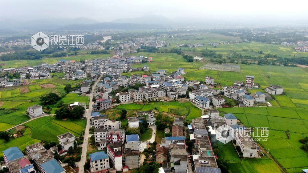 2026年10月6日,秋日时节,江西省遂川县雩田镇沃野铺翠,连片稻田环绕错落民居。白墙小楼镶嵌在万顷良田之间,远山含黛,田畴如画。